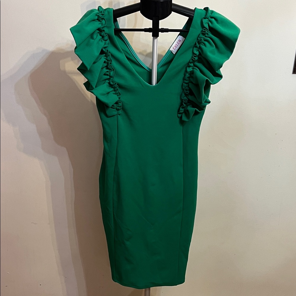 NWOT Caleb Women's Ruffle-Sleeve Sheath Dress